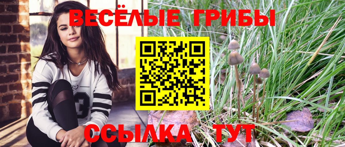 Псилоцибиновые грибы MAGIC MUSHROOMS  Псилоцибиновые грибы Cubensis  Вход с VPN  Усть-Илимск 